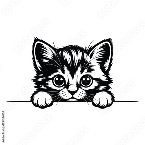 Cute kitten peeking over edge, playful and curious, adorable pet animal, wide eyes, fluffy fur, black and white illustration for design