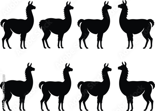Llama silhouette collection set, black alpaca animal shapes isolated, wildlife farm illustration, minimalist vector design for nature themed graphics