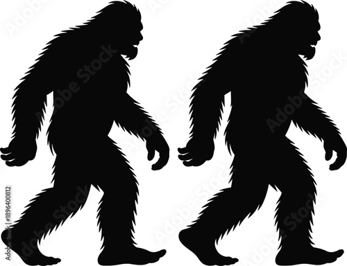 Bigfoot silhouettes illustration showing walking sasquatch poses, mythical cryptid folklore monster concept, mysterious paranormal creature, black vector icons isolated background