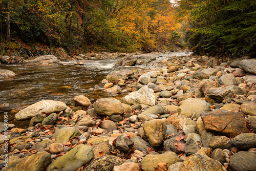 Fall Colors on the PIgeon River in Maggie Valley, North Carolina