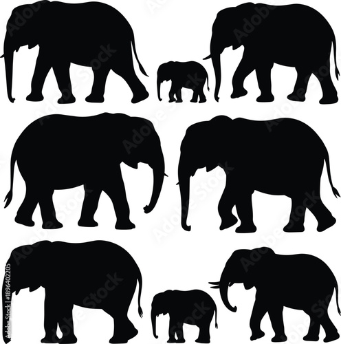 Elephant silhouettes collection illustration featuring adult and baby elephants, wildlife animal shapes, African safari mammals, black vector icons isolated set