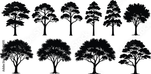 A collection of tree silhouettes against a white background