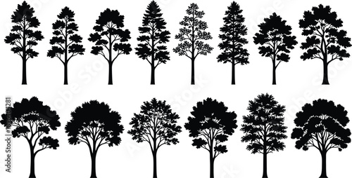 Collection of diverse tree silhouettes, featuring both coniferous and deciduous tree shapes and forms.