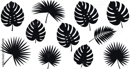 A collection of tropical leaf silhouettes against a clean white background in silhouette mode