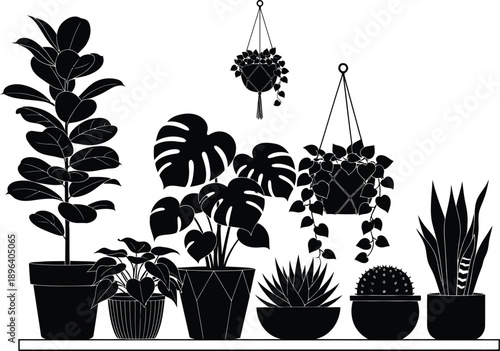 A silhouette of various potted plants on a shelf against a white background silhouette