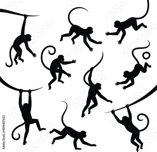 Playful monkey silhouette illustration set showing jumping swinging climbing primates in various dynamic poses isolated on white background for wildlife and design concepts