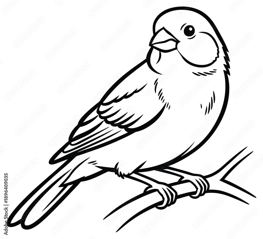 Fototapeta premium A cute little songbird perched on a branch, ready for a fun coloring activity