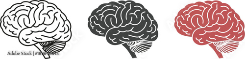 Three distinct line art renderings of the human brain profile display anatomical structure in black, gray, and reddish tones.