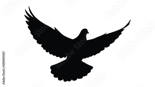 a striking black bird silhouette with expansive wings against a white background