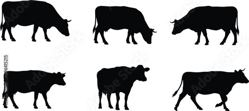 Black cow silhouettes in various poses, farm animal vector illustration, livestock design, cattle shapes for agriculture, dairy, ranch, rural artwork