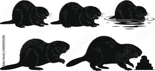 PrintBeaver silhouette vector set, wildlife animal poses, dam building behavior, black isolated icons, nature illustration, stock image collection