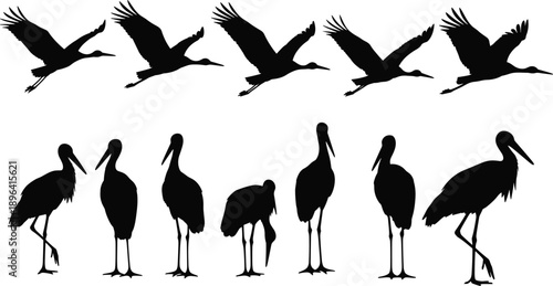 Black stork silhouette collection featuring various flying and standing poses of migratory birds for nature conservation wildlife education and minimalist garden vector designs