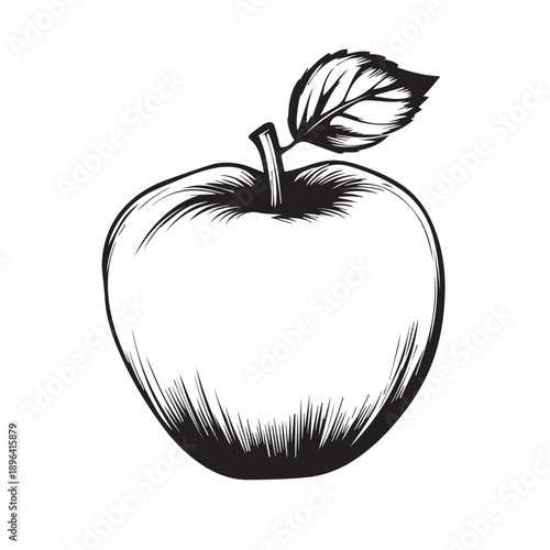 apple vector illustration