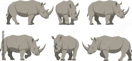African Rhinoceros Vector Illustration Set with Various Standing and Walking Poses for Wildlife Conservation Branding, Safari Nature Graphics, Zoo Education, and Animal Infographics