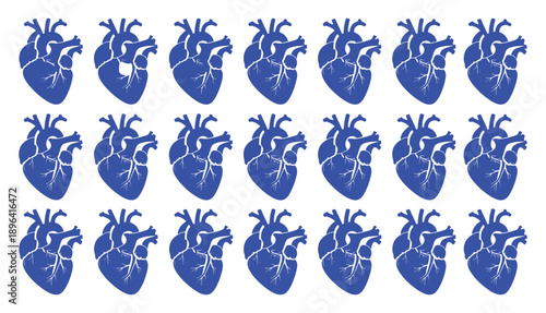 Anatomical heart vector silhouette icon set. heartbeat, cardiovascular, anatomy, medical, health, cardiology illustration, biology, organ, human heart collection