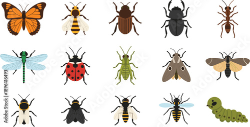 Comprehensive Flat Design Insect Icon Set Featuring Butterfly, Ladybug, Bee, Dragonfly, Ant, and Beetle for Educational Nature Graphics, Science Projects, and Wildlife Branding