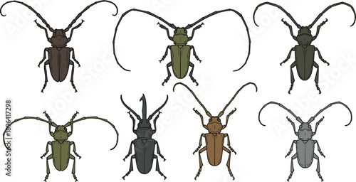 Longhorn Beetle Vector Icon Set Featuring Various Species with Detailed Long Antennae and Rigid Shells for Nature Education, Entomology Research, and Wildlife Conservation Graphics