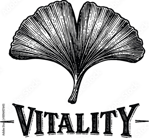Ginkgo leaf with the word "Vitality" in vintage style