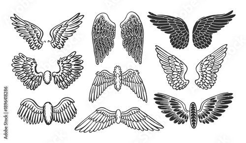 Collection of Hand-Drawn Angel and Bird Wings in Various Styles