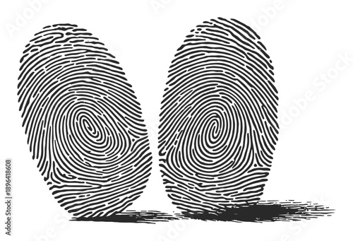 Two Fingerprints with Swirling Patterns and Shadows on Vector illustration White Background