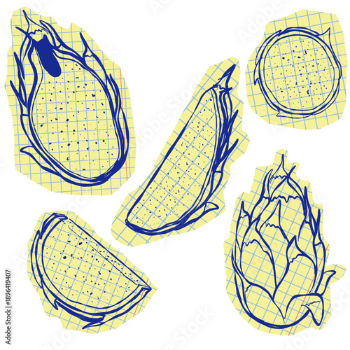 Pitaya or dragon fruit set. Cut out scraps of paper with Pitaya doodles. Pen drawn images of dragon fruit. Whole, half and sliced exotic food on graph paper pieces. Hand drawn outline vector 