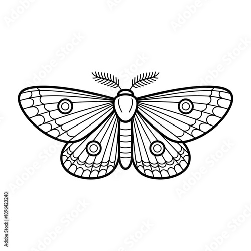 A moth illustration vector style coloring page 