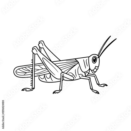 A grasshopper illustration vector style coloring page 