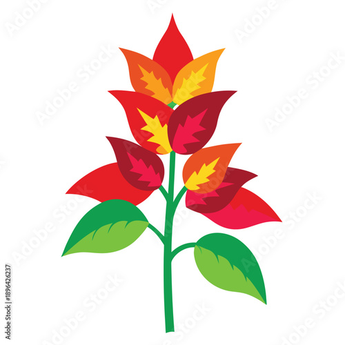 coleus plant flower spikes colorful on white background