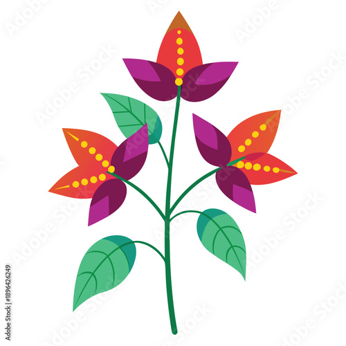 coleus plant flower spikes colorful on white background