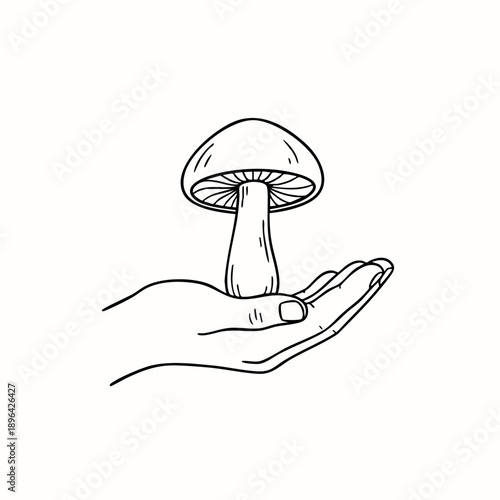 Minimal line art illustration of a mushroom on an open hand. Concept of nurturing nature, simplicity, and organic growth.