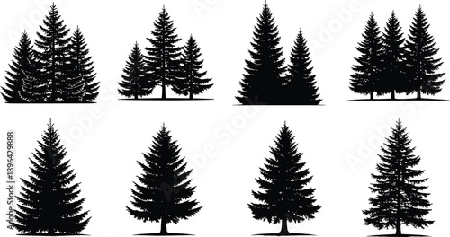 Collection of Eight Detailed Black Silhouettes Featuring Various Pine and Spruce Evergreen Trees for Nature Landscape Forest Conservation and Winter Holiday Graphic Design Projects