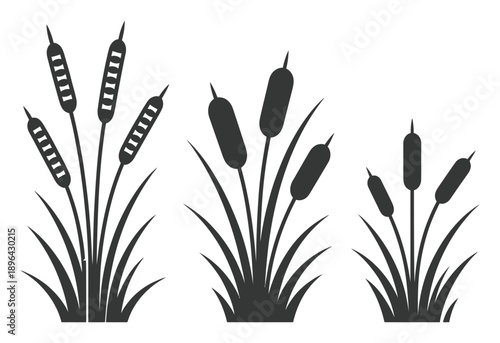 Silhouette of Cattails in a Wetland Environment