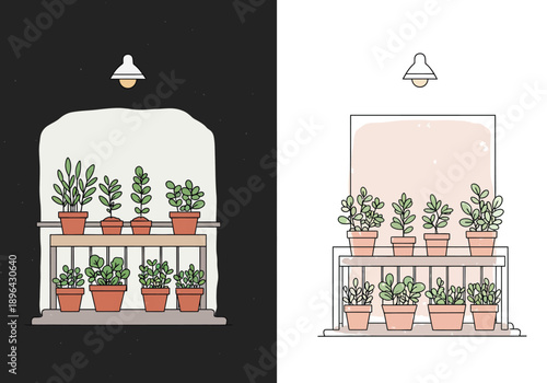 Indoor Plants on Balcony in Black and White.