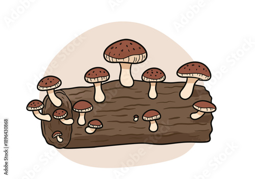 Mushrooms Growing on a Log Illustration.