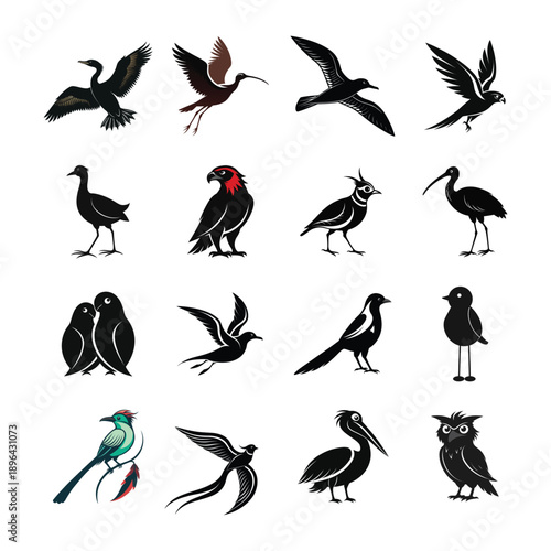 set of silhouettes of birds