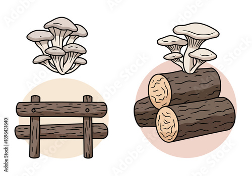 Oyster Mushrooms Growing on Logs and Fence Illustration.