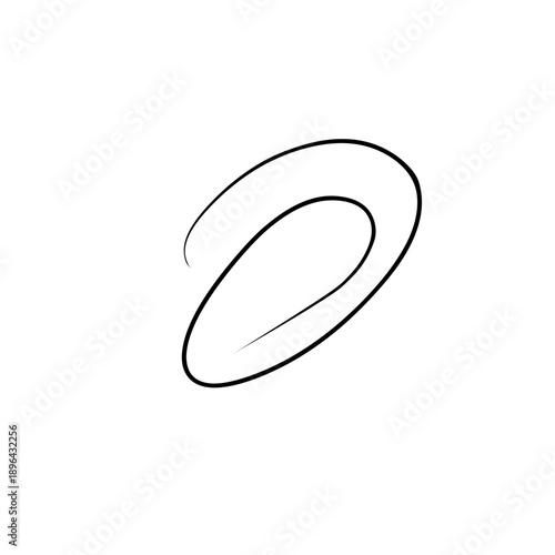 spirals swirl vector illustration
