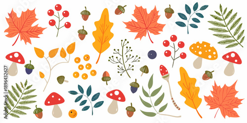 Colorful autumn foliage and woodland elements arranged on a white background