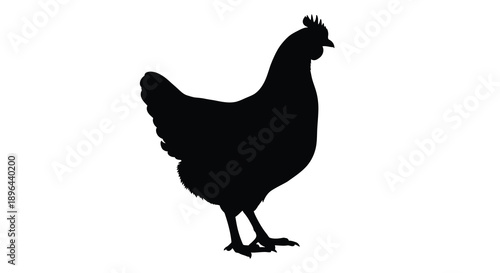 A black silhouette of a rooster stands prominently displayed silhouette