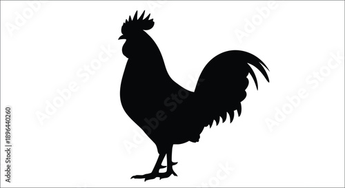 A striking black rooster profile against a white background silhouette
