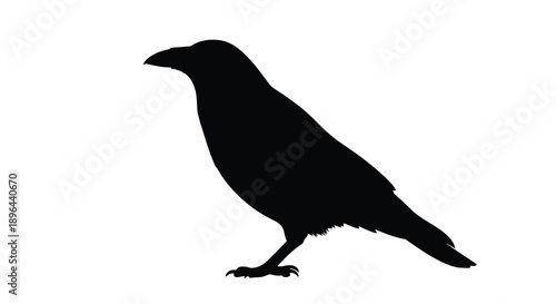 A detailed black silhouette of a crow perched on a branch silhouette