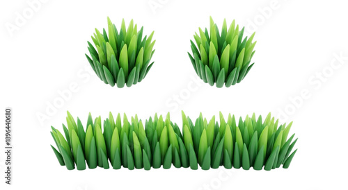 Green Grass Border 3D Render Illustration Cartoon Tuft Vegetation Frame Fresh Meadow Lawn Field Plants Spring Summer Nature Design isolated on PNG transparent background