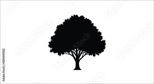 A dark full tree stands against a bright background silhouette