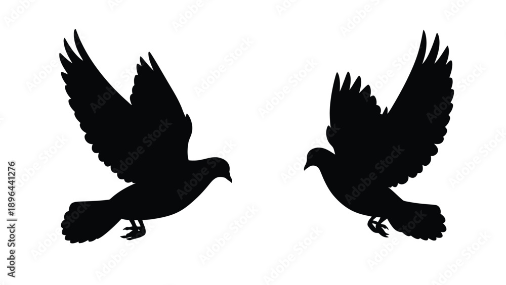 Obraz premium Two birds in flight wings spread a striking black silhouette