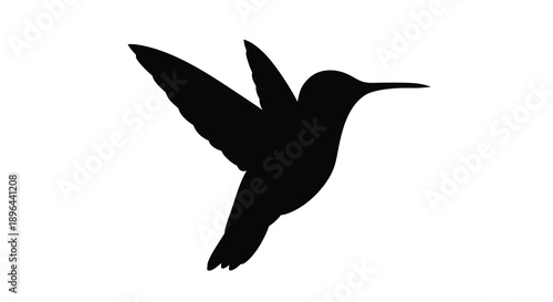 A striking black hummingbird in mid flight a beautiful silhouette