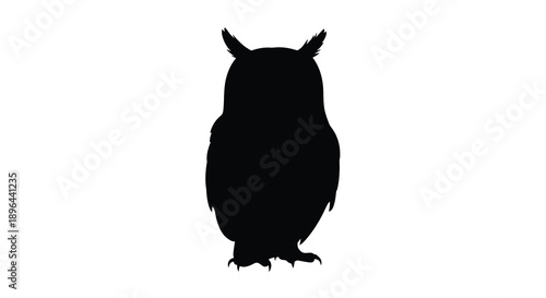 A striking black owl form against a white background silhouette