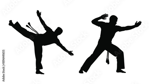 Two martial artists performing dynamic kicks a striking silhouette