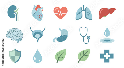 Collection of Human Organs and Medical Icons for Health and Science.