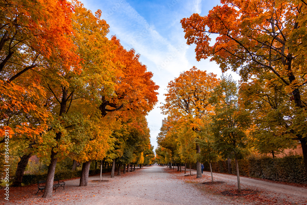 Fototapeta premium Autumn foliage in Schonbrunn park, Vienna, Austria