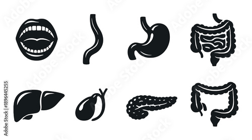 Digestive system icons set with mouth and intestines